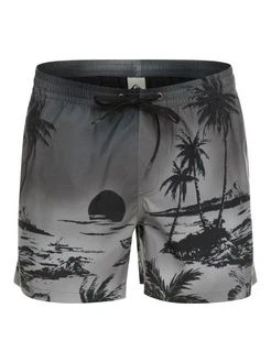 Quiksilver Badehose Boardshorts Everyday Paradise Grau/Dunkelgrau/Schwarz/Dunkelgrün