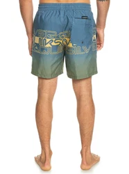Quiksilver Boardshorts Everyday Wordblock 