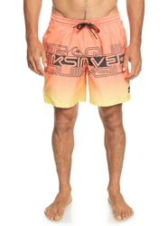Quiksilver Boardshorts Everyday Wordblock 