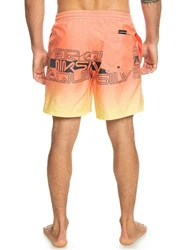Quiksilver Boardshorts Everyday Wordblock 