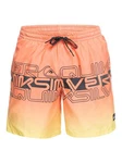 Quiksilver Boardshorts Everyday Wordblock 