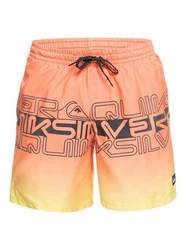 Quiksilver Boardshorts Everyday Wordblock 