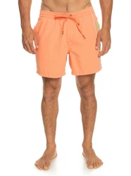 Quiksilver Boardshorts Everyday Vert 