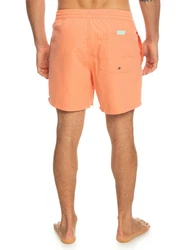 Quiksilver Boardshorts Everyday Vert 