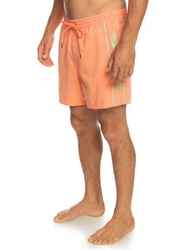 Quiksilver Boardshorts Everyday Vert 