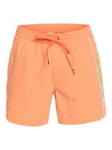 Quiksilver Boardshorts Everyday Vert 