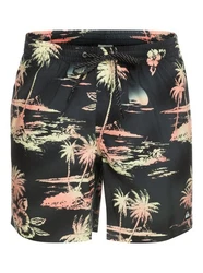 Quiksilver Boardshorts Everyday Mix Schwarz/Beige/Dunkelblau/Blau/Grün