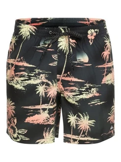 Quiksilver Boardshorts Everyday Mix Quiksilver Boardshorts Everyday Mix