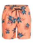 Quiksilver Boardshorts Everyday Mix 