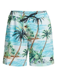 Boardshorts Surfsilk Mix Volley 17