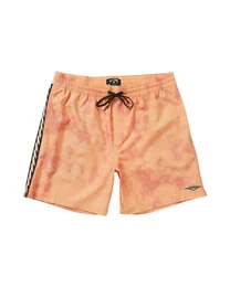 Boardshorts D Bah Taped 17
