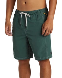 Quiksilver Boardshorts Saturn Drainer Dunkelgrün/Grün
