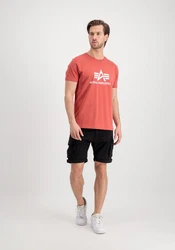 Alpha Industries Herren Basic T-Shirt Rot/Orange