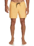 Quiksilver Boardshorts Everyday Beige/Khaki/Gelb
