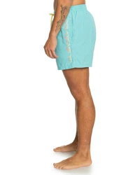 Quiksilver Boardshorts Behind Waves Blau/Türkis/Grün