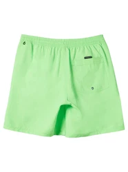 Quiksilver Boardshorts Everyday Solid Volley 