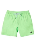Quiksilver Boardshorts Everyday Solid Volley 