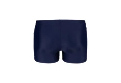 Arena Badehose Herren Badeshort THREEFOLD Shorts (006486) 006486