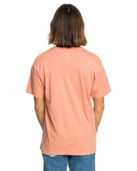 Quiksilver T-Shirt Step Inside Gelb/Rosa/Grau