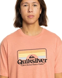 Quiksilver T-Shirt Step Inside Gelb/Rosa/Grau