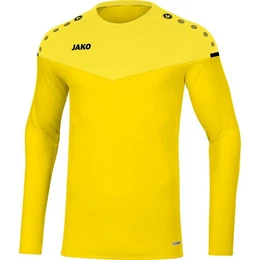 Fleecepullover Herren Sweat Champ 2.0 8820