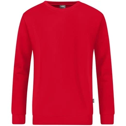 Fleecepullover Herren Sweat Organic C8820