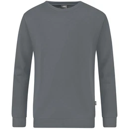 Fleecepullover Herren Sweat Organic C8820