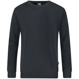 Fleecepullover Herren Sweat Organic C8820