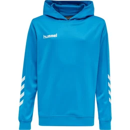 Kapuzenpullover Herren Kapuzenpullover Promo Poly Hoodie 208317