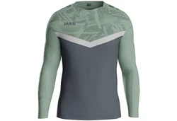 Jako Pullover Sweat Iconic 8824