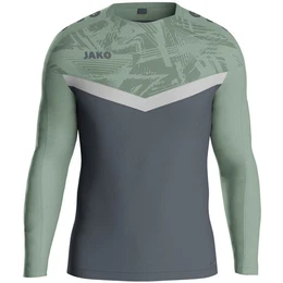 Fleecepullover Herren Pullover Sweat Iconic 8824