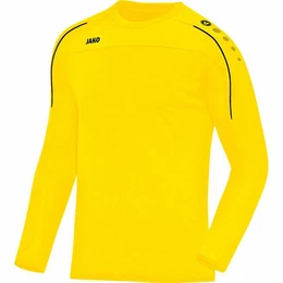 Fleecepullover Herren Sweat Classico 8850