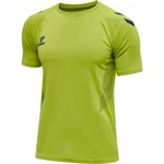 hummel T-Shirt Lead Pro Seamless 207419