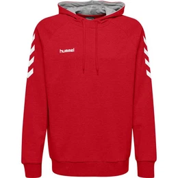 Kapuzenpullover Herren Kapuzenpullover Go Cotton Hoodie 203508