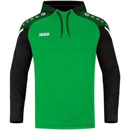 Kapuzenpullover Herren Kapuzensweat Performance 6722