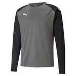 PUMA teamLIGA Training Sweatshirt Dunkelgrau/Grau