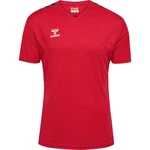 hummel T-Shirt hmlAUTHENTIC PL JERSEY S/S 219964