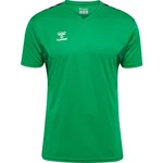 hummel T-Shirt hmlAUTHENTIC PL JERSEY S/S 219964