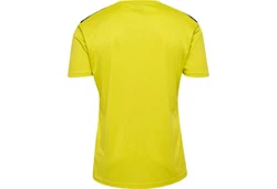 hummel T-Shirt hmlAUTHENTIC PL JERSEY S/S 219964