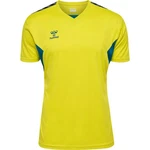 hummel T-Shirt hmlAUTHENTIC PL JERSEY S/S 219964