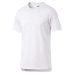 PUMA T-Shirt Energy SS Tee Herren Trainingsshirt (517318) 517318