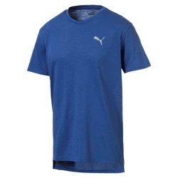 PUMA T-Shirt Energy SS Tee Herren Trainingsshirt (517318) 517318