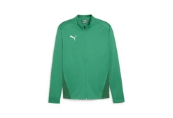 PUMA Sweatjacke teamGOAL Trainingsjacke Grün/Dunkelgrün/Neonfarben