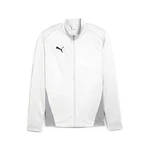 PUMA Sweatjacke teamGOAL Trainingsjacke Grau/Weiß/Silber