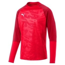Fleecepullover Herren Pullover Cup Training Sweat Core 656021