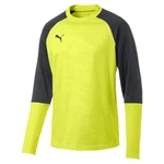 PUMA Pullover Cup Training Sweat Core 656021