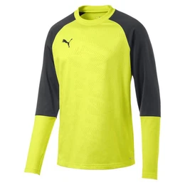 Fleecepullover Herren Pullover Cup Training Sweat Core 656021