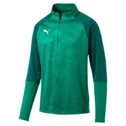 Fleecepullover Herren Pullover Cup Training 1/4 Zip Top Core 656018