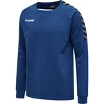 Hummel Sweatshirt Authentic Trainings Longsleeve 205373