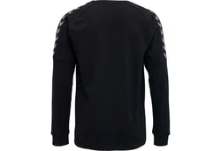 Hummel Sweatshirt Authentic Trainings Longsleeve Schwarz (205373)